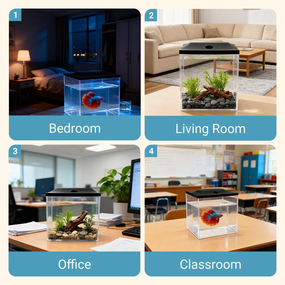 SW PRODUCTS portable display tank fits offices or events with easy setup.