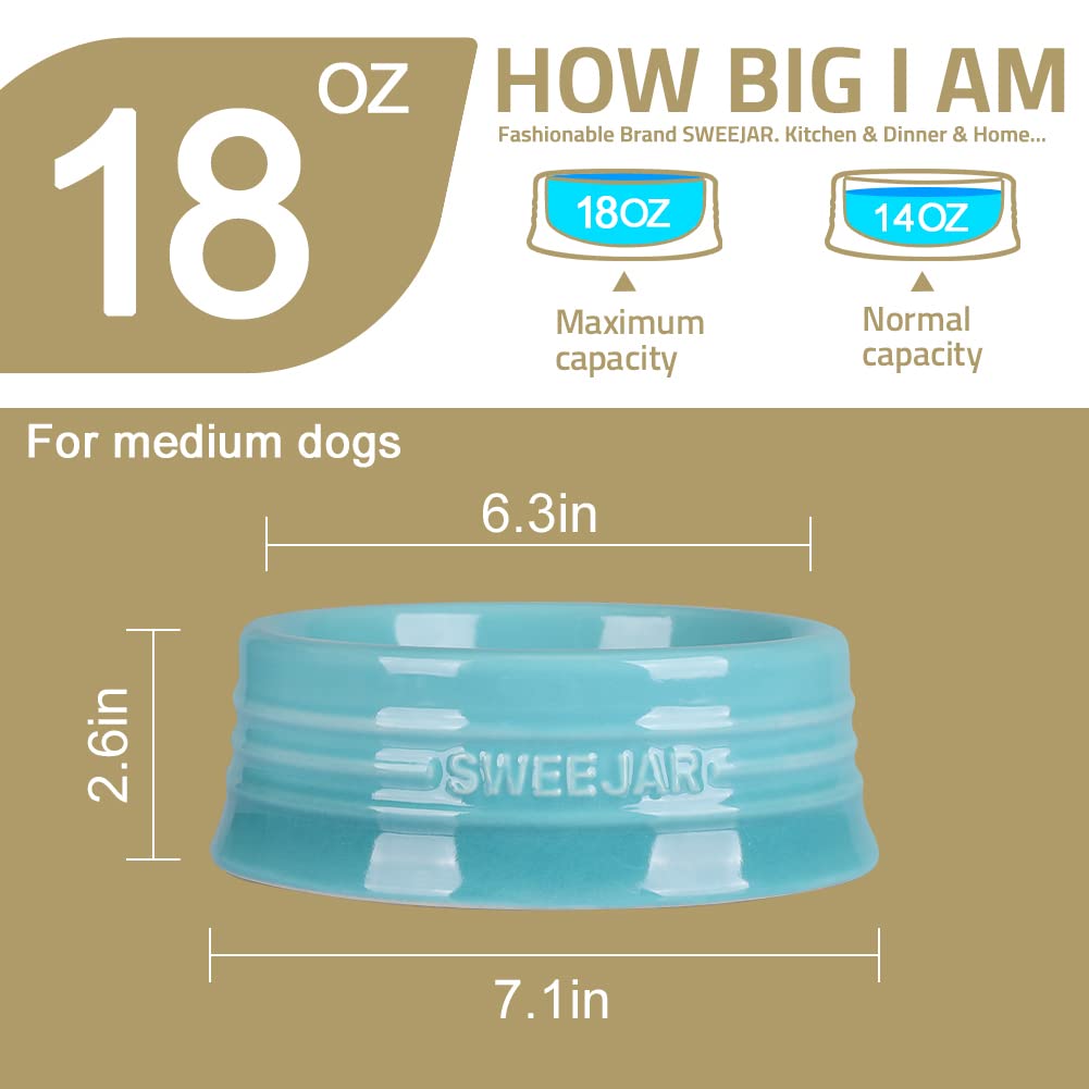 Sweejar gradient cat dish in light blue for meals