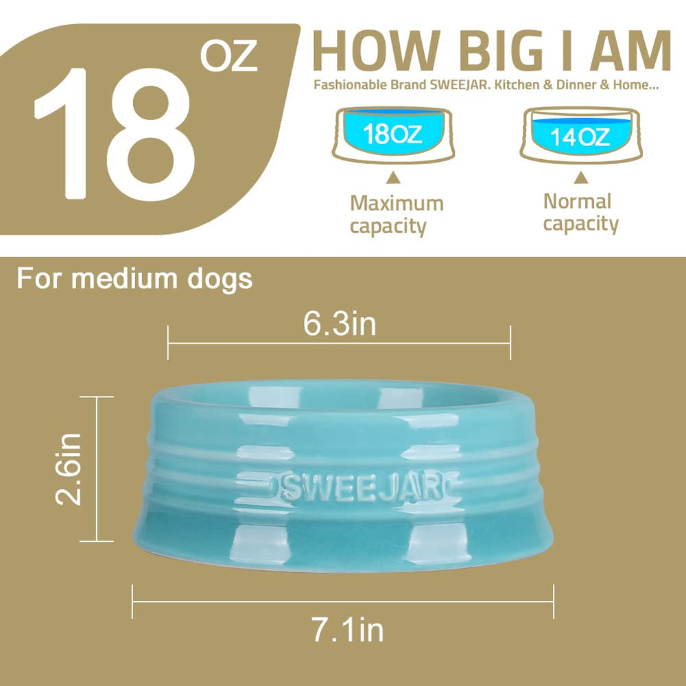 Sweejar gradient cat dish in light blue for meals