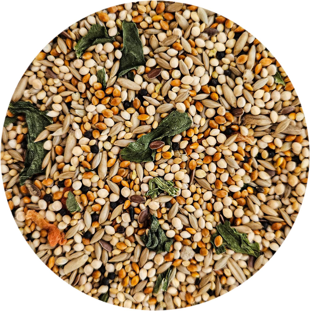 Enriched formula from Sweet Harvest keeping finches nourished and active