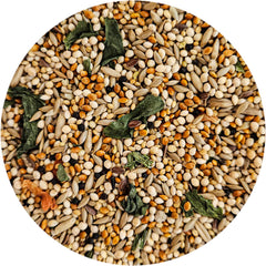 Enriched formula from Sweet Harvest keeping finches nourished and active