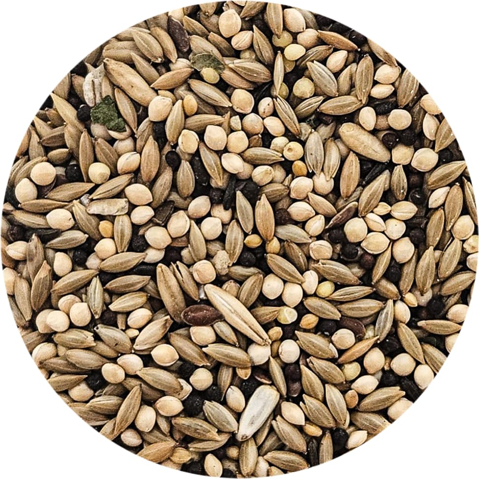 Sweet Harvest versatile canary diet suitable for all life stages and small breeds.