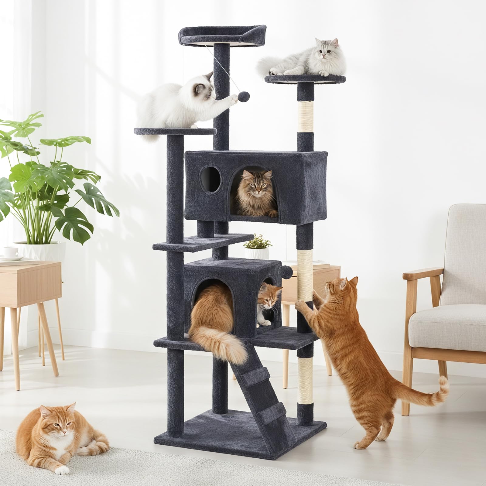 Sweetcrispy climbing ladder encourages vertical exploration while keeping furniture safe