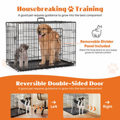 Sweetcrispy crate featuring rounded edges and heavy-duty locks for safety.