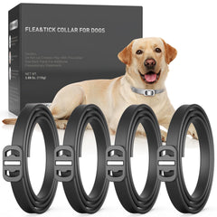 SweetEcho dog flea collar with natural oils for ongoing pest deterrence.