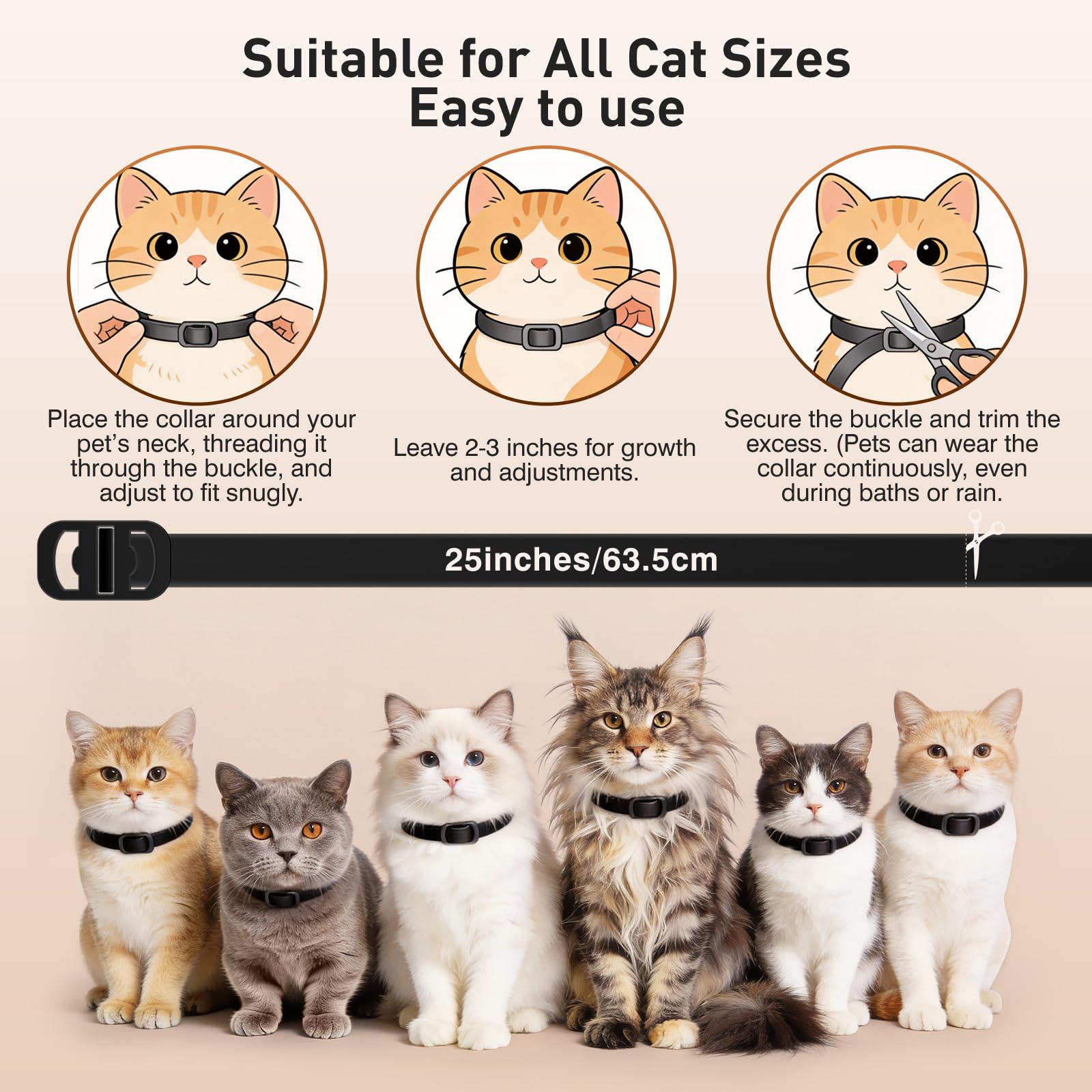 Gift-ready packaging from SweetEcho for cat lovers.