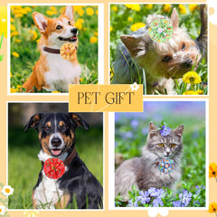 Sweetude bulk dog bow ties on collars offer versatile seasonal looks.