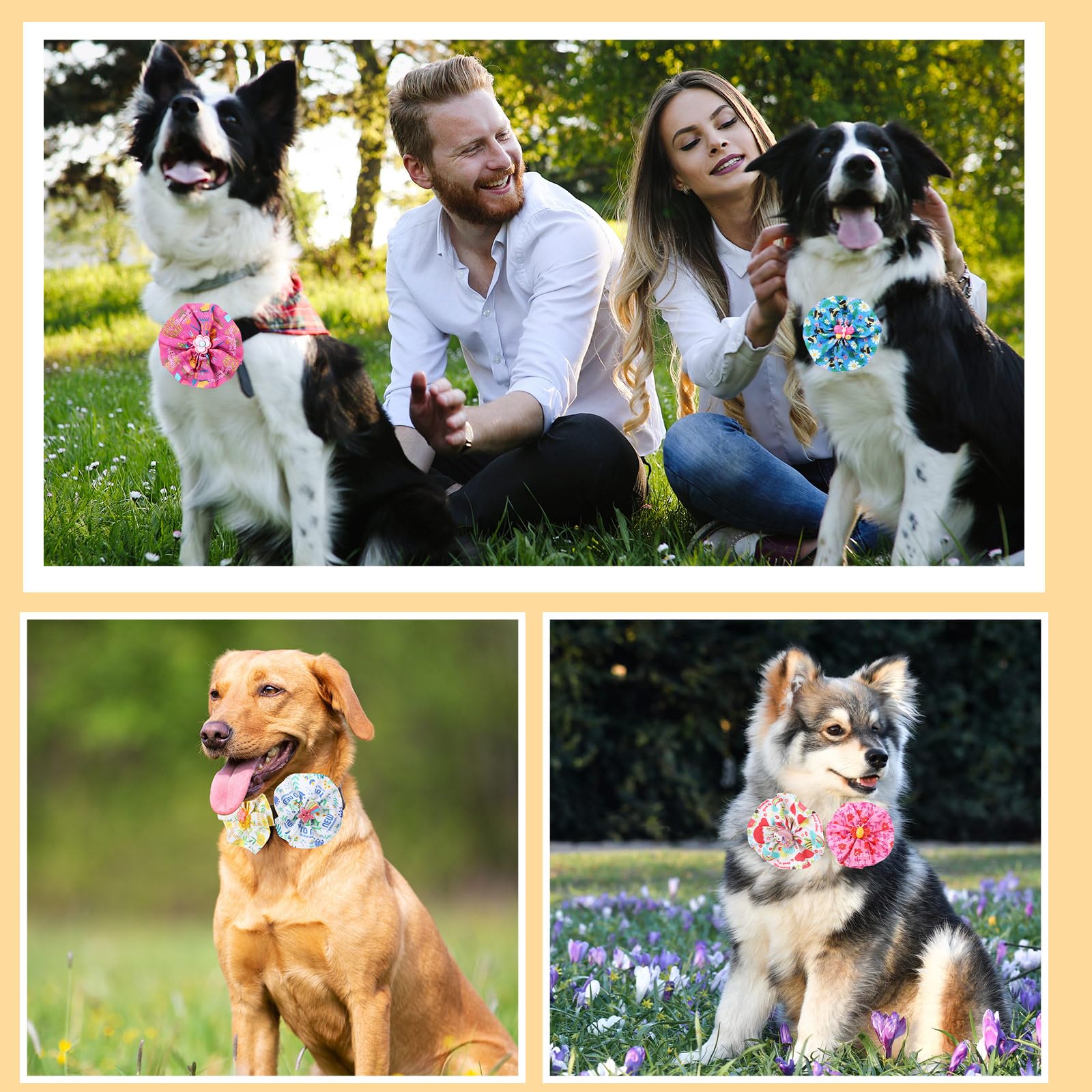 Sweetude collar flowers dress up pets for photoshoots and events.