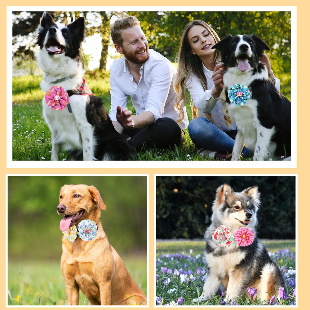 Sweetude collar flowers dress up pets for photoshoots and events.