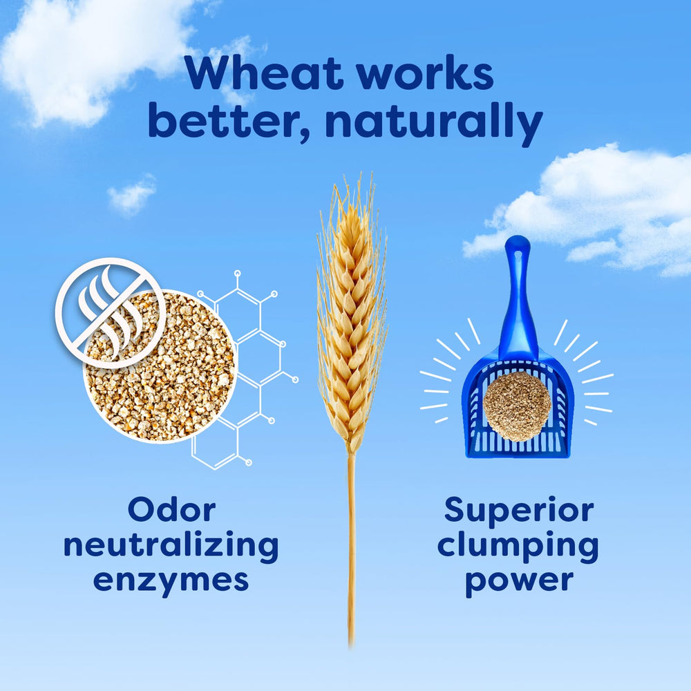 sWheat Scoop free of added dyes and perfumes for a natural litter option.