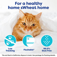 sWheat Scoop natural wheat formula emphasizes plant-based litter.