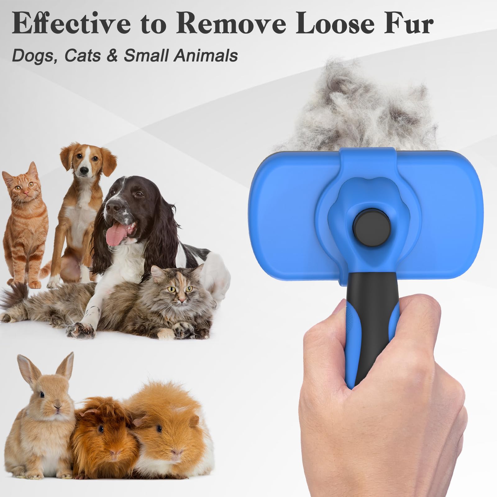 Swihauk pet grooming with dogs and cats in a home setting.