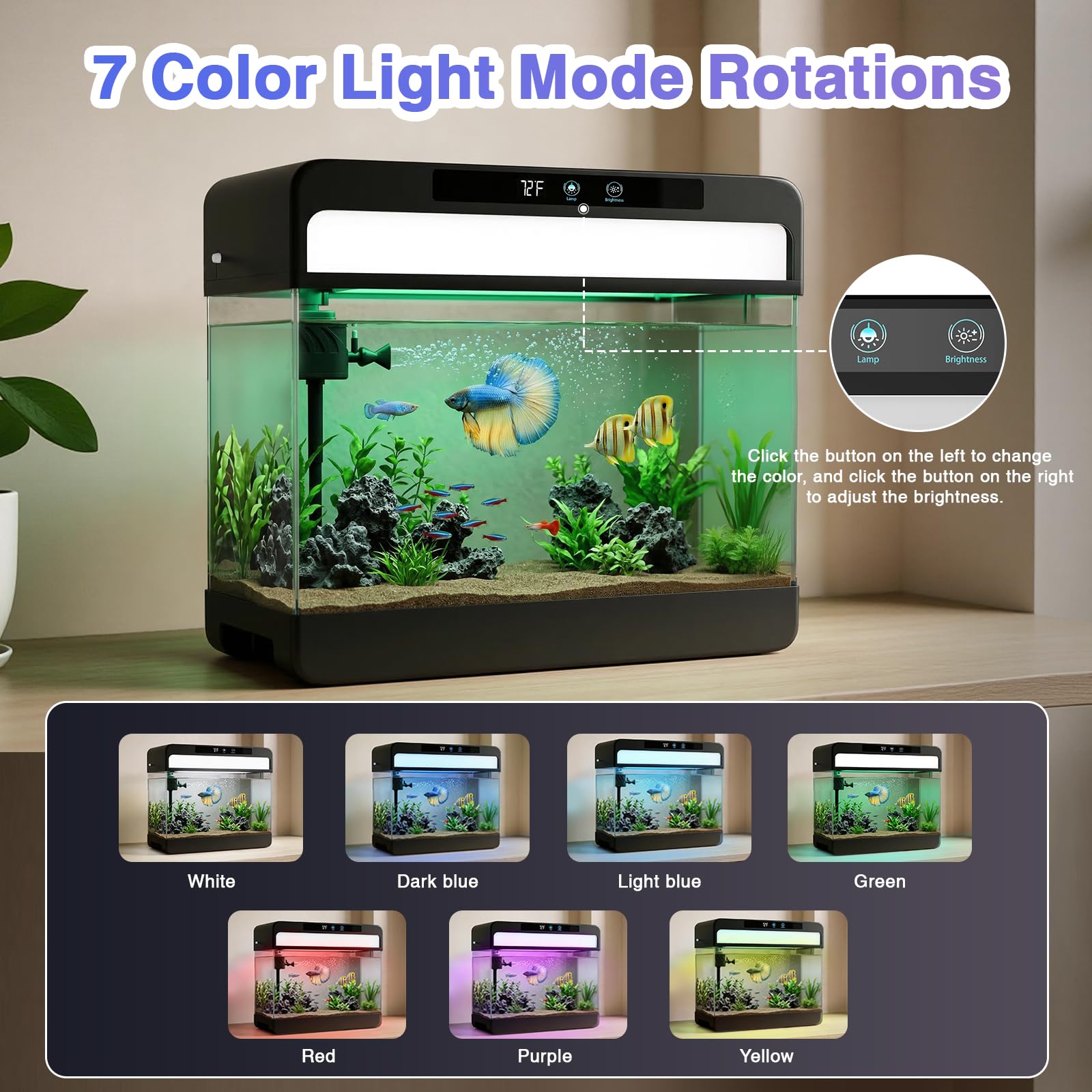 Swimsync temperature display shows water heat at a glance.