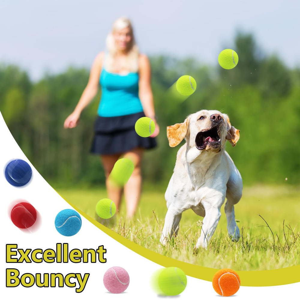 Swingers durable rubber and felt dog balls for safe chewing and play