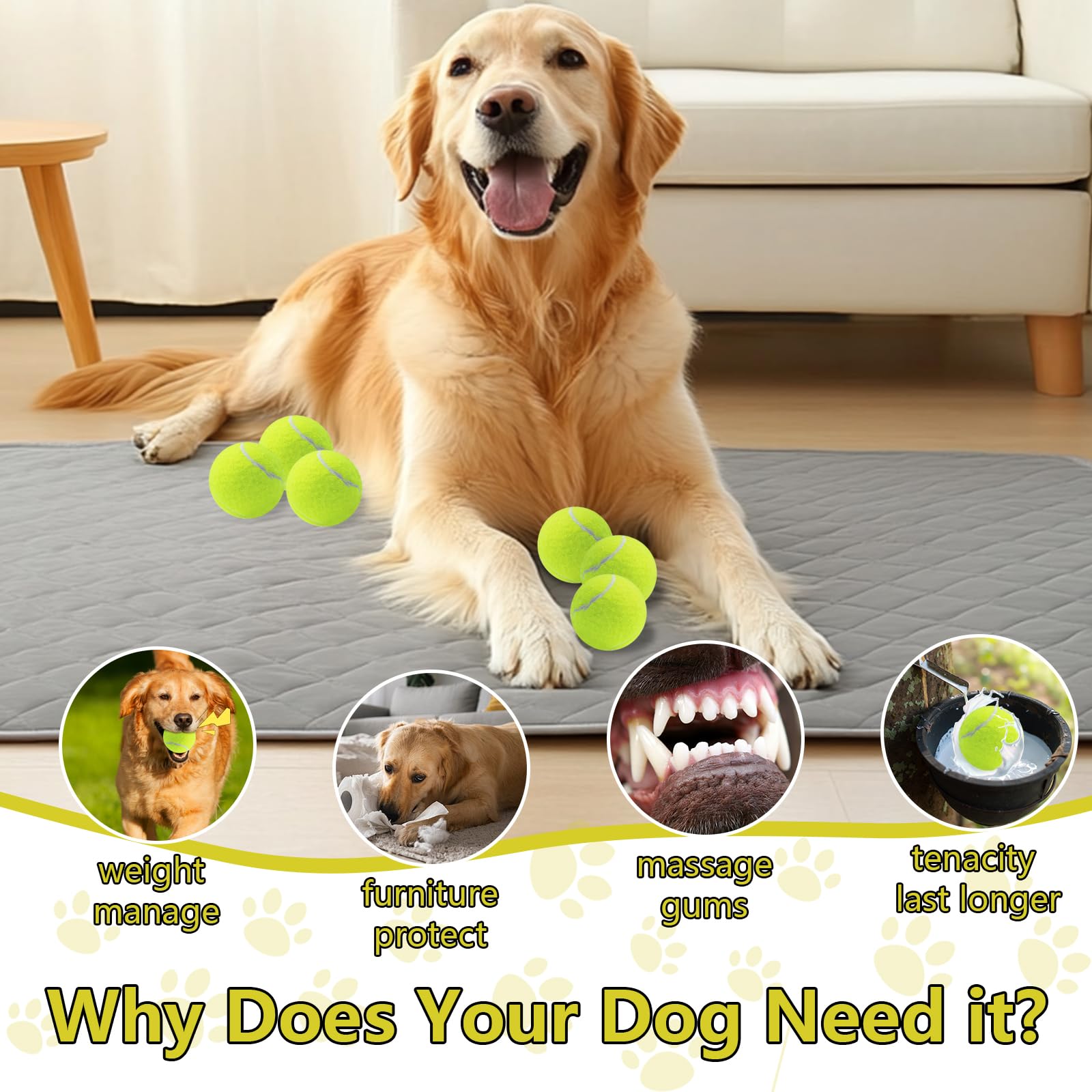 Swingers indoor-outdoor play set for dogs with squeaky tennis balls