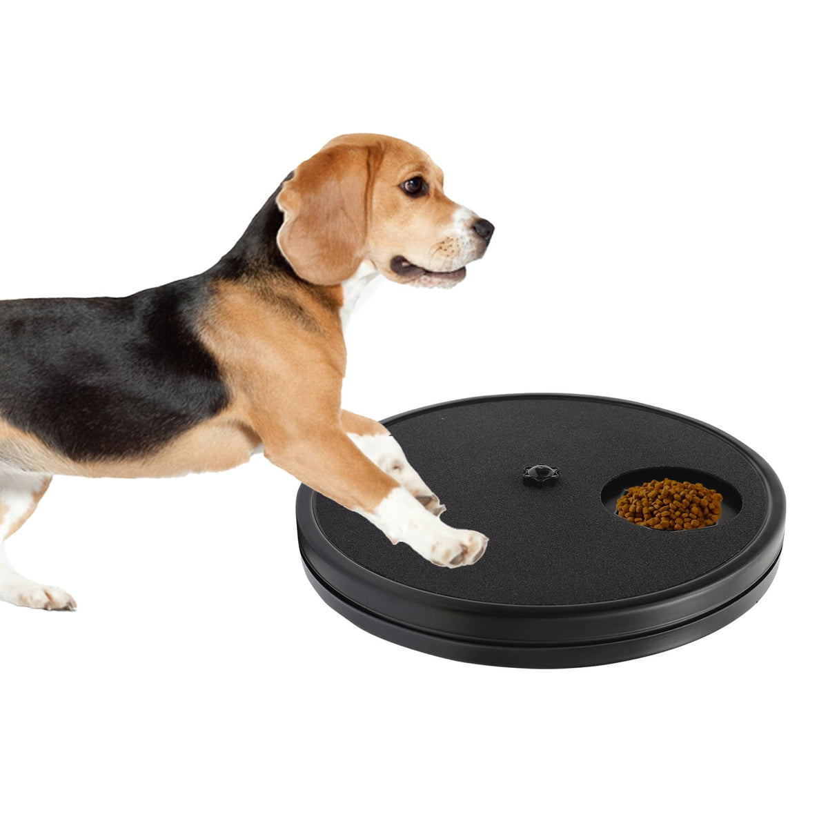 Swirge 3-in-1 rotatable dog scratch board showing overall design and paw care features