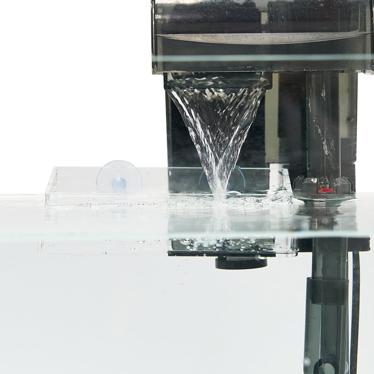 Swirge aquarium filter baffle with suction cup quiets strong currents in a betta tank.