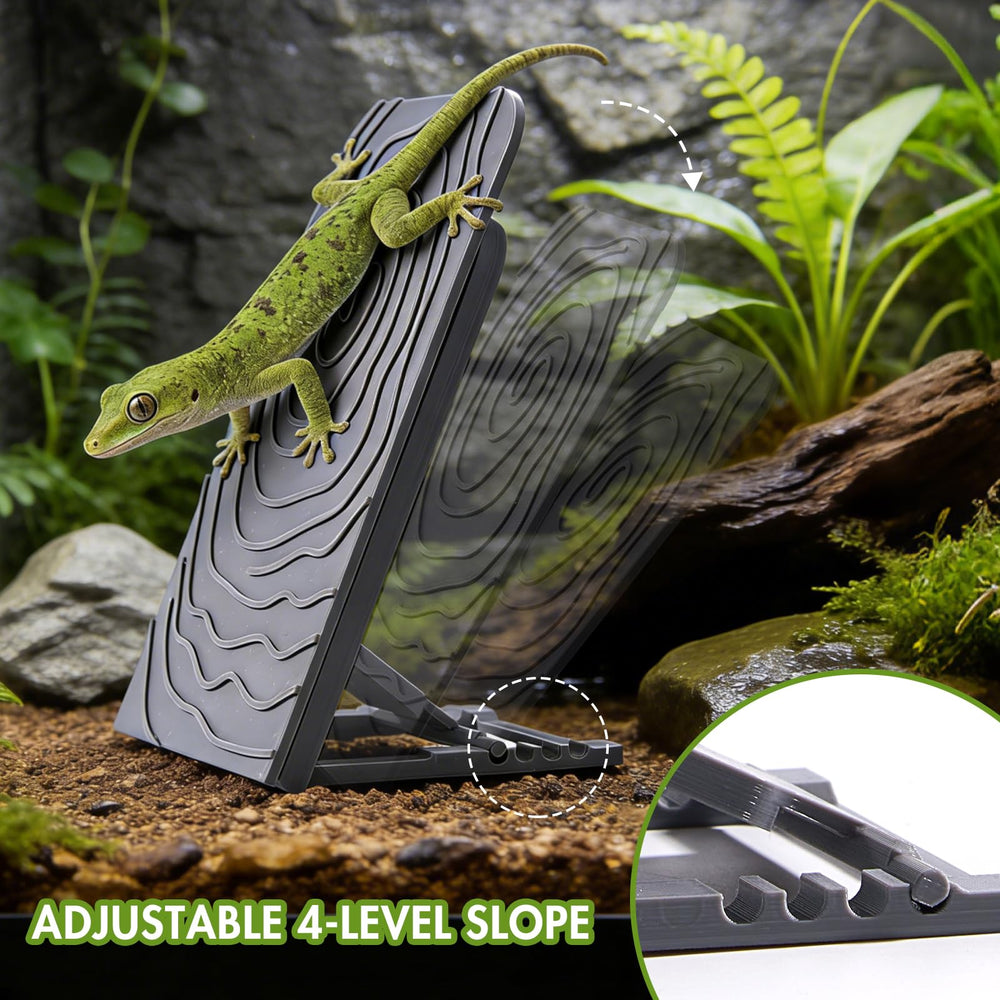 Swirge Bearded Dragon Climbing Wall click-lock simplifies angle changes