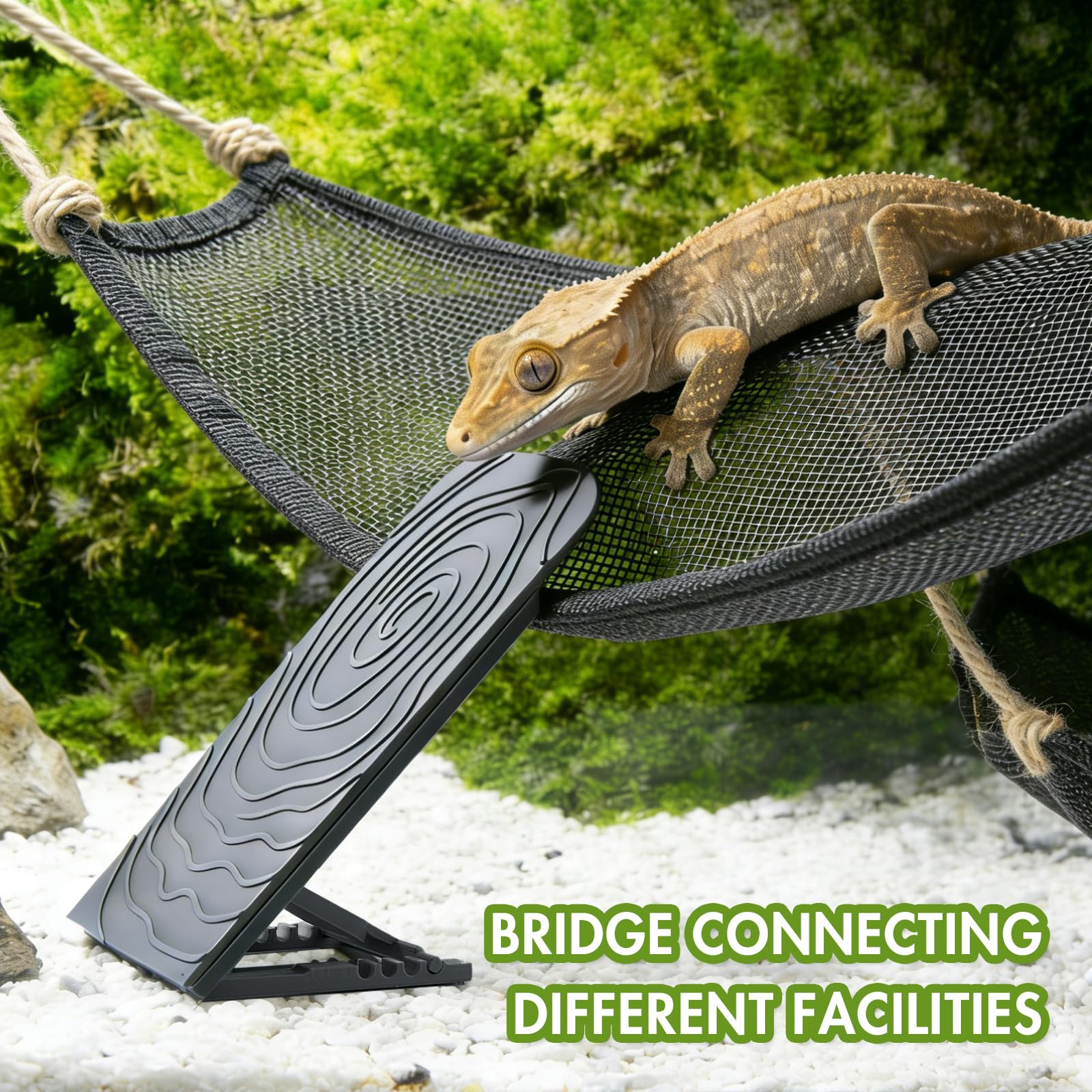 Swirge Bearded Dragon Climbing Wall durable plastic is easy to clean