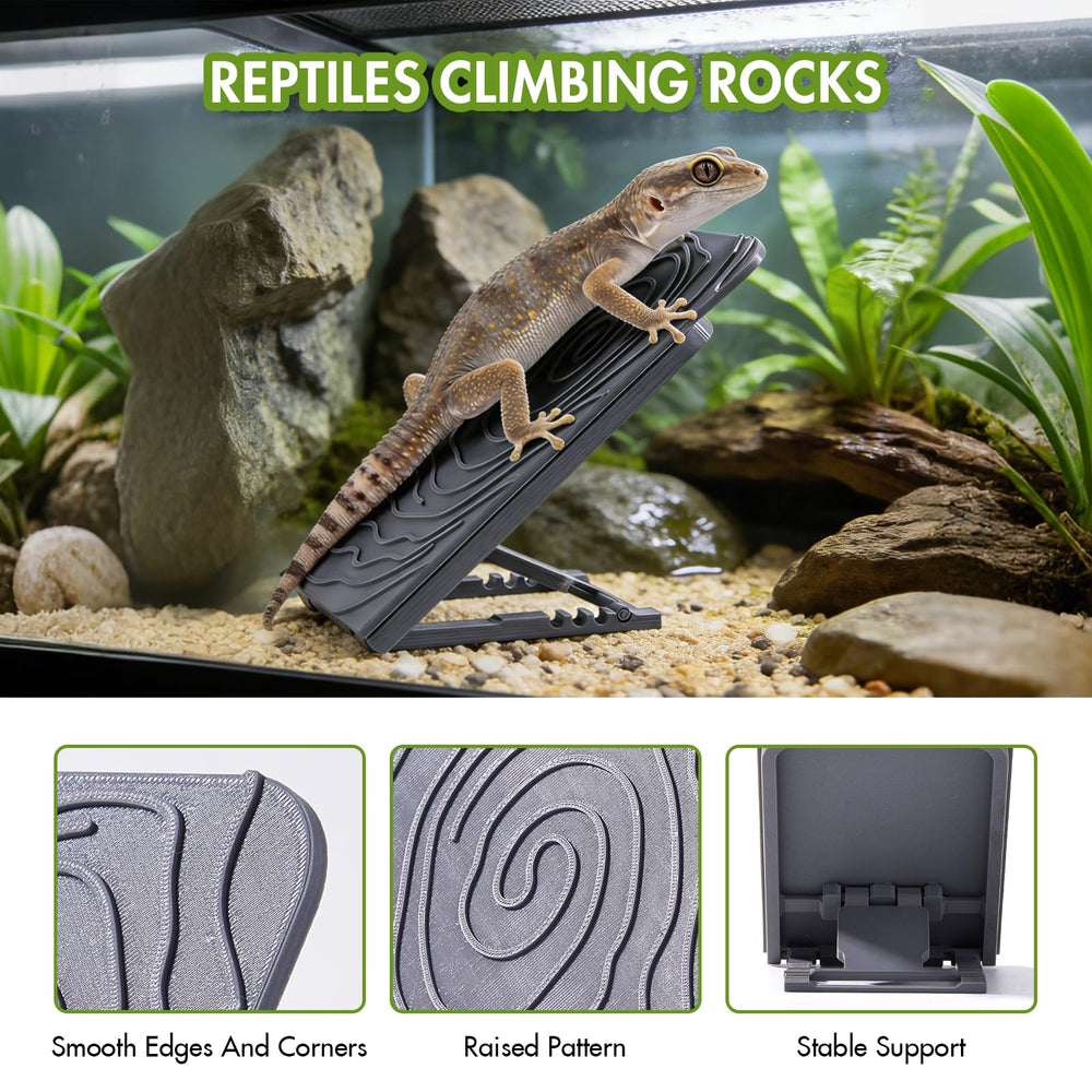 Swirge Bearded Dragon Climbing Wall half-open hideout provides safe rest