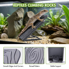 Swirge Bearded Dragon Climbing Wall half-open hideout provides safe rest