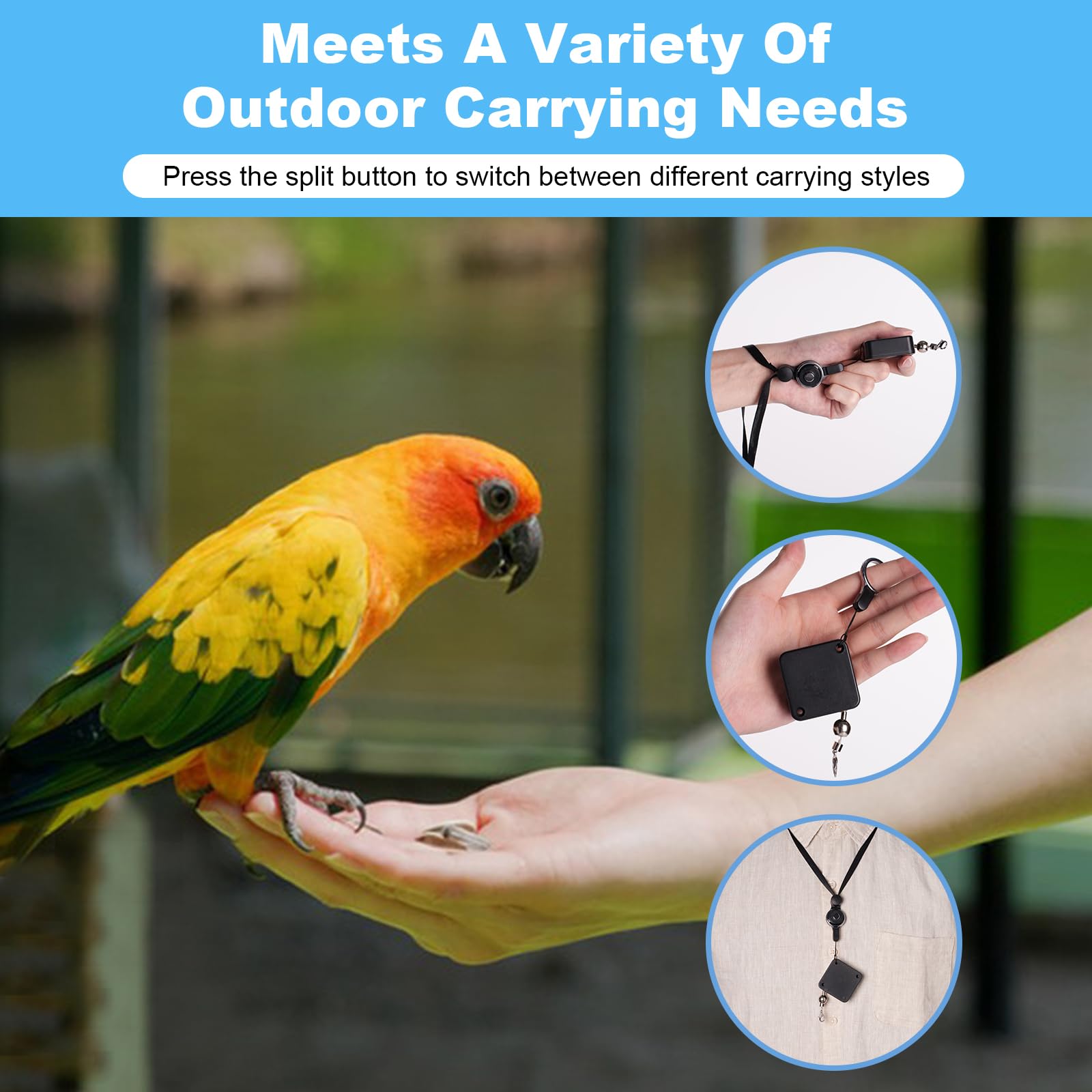 Five anklet sizes included for a secure fit on various birds.