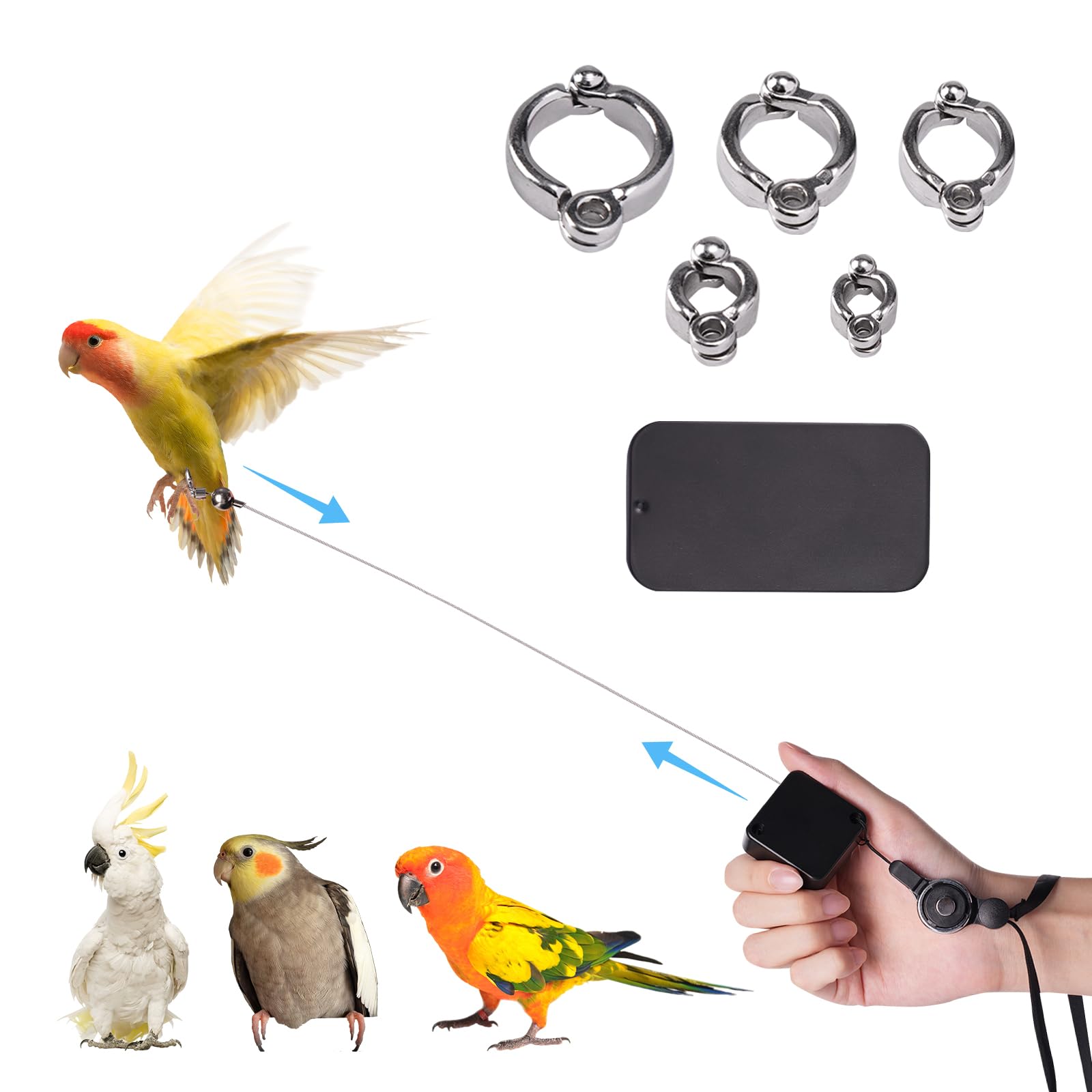 Swirge stainless-steel bird leash for parrots offers durable anti-chew performance.