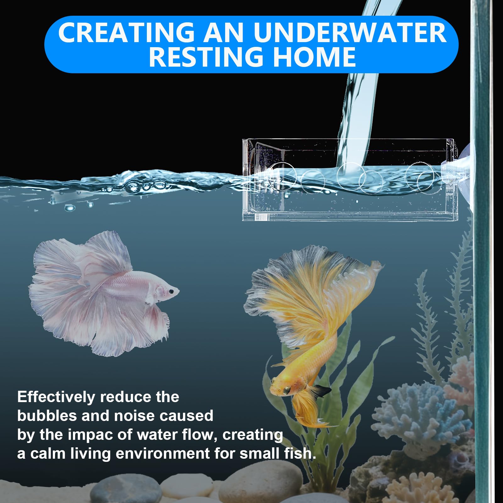 Swirge calming water surface baffle creates a steady habitat for shrimp.