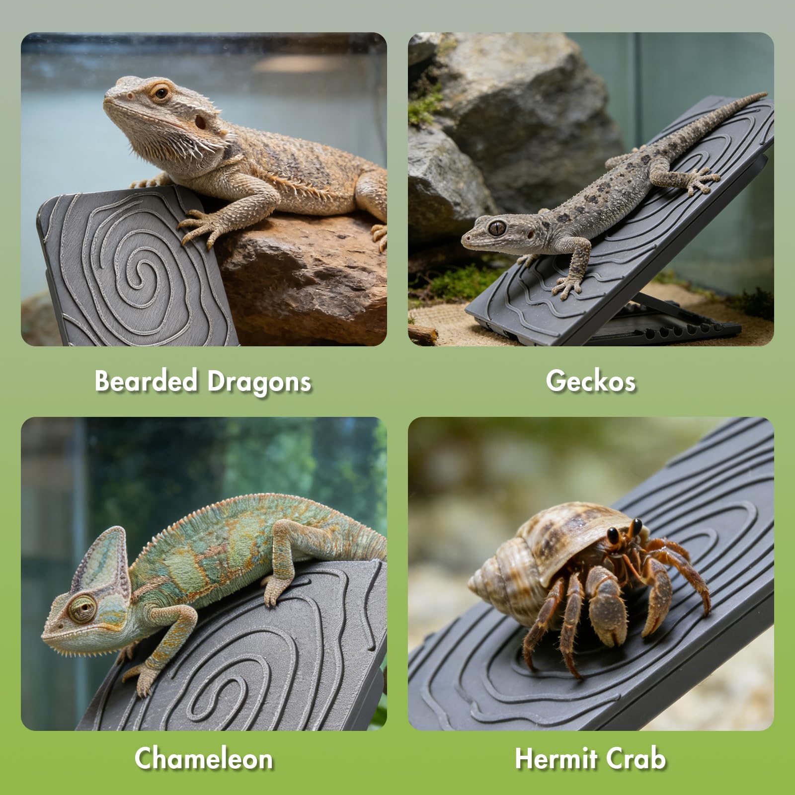 Swirge Reptile Climber compatible with leopard geckos and lizards