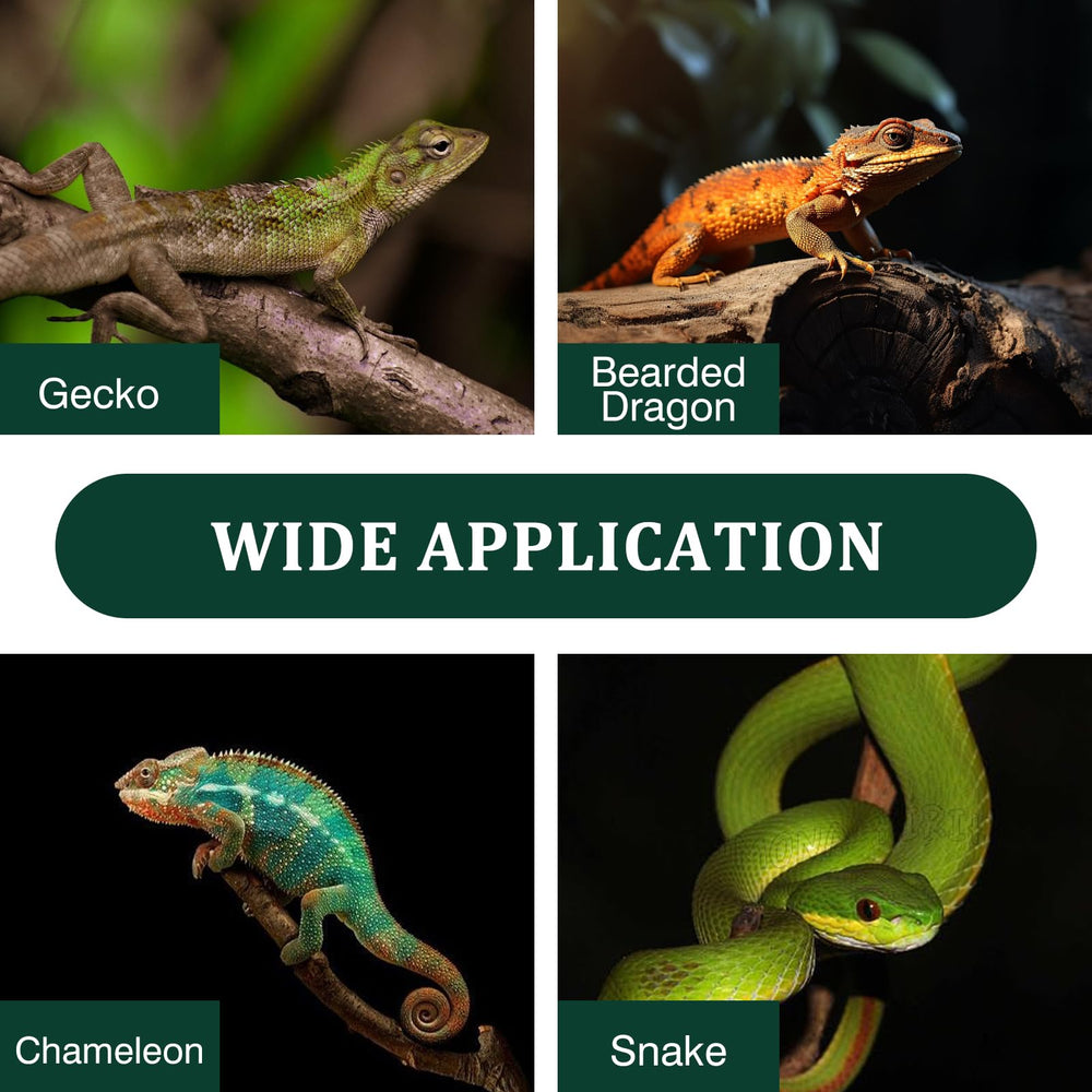 Swirge climbing kit creates a jungle-inspired habitat in your reptile enclosure.