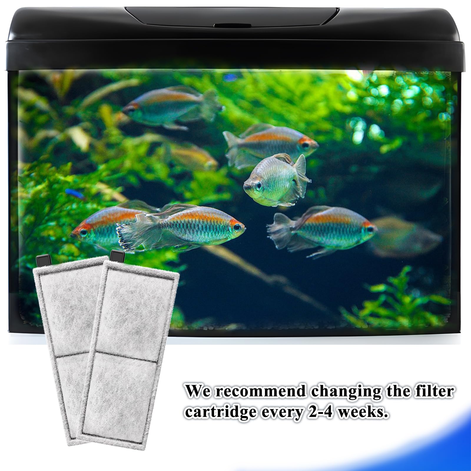 Switior cartridge helps maintain healthier aquarium water with effective filtration.