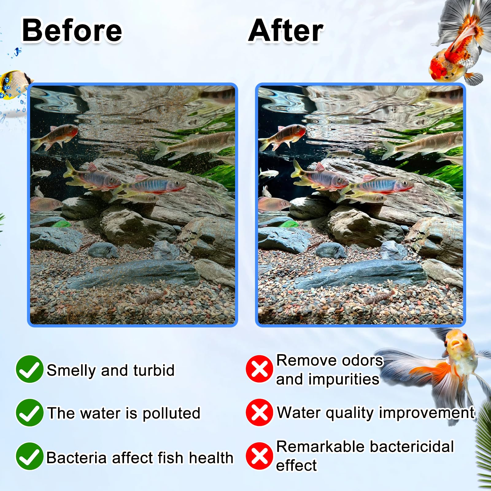 Switior maintenance tips support a healthy filtration schedule.