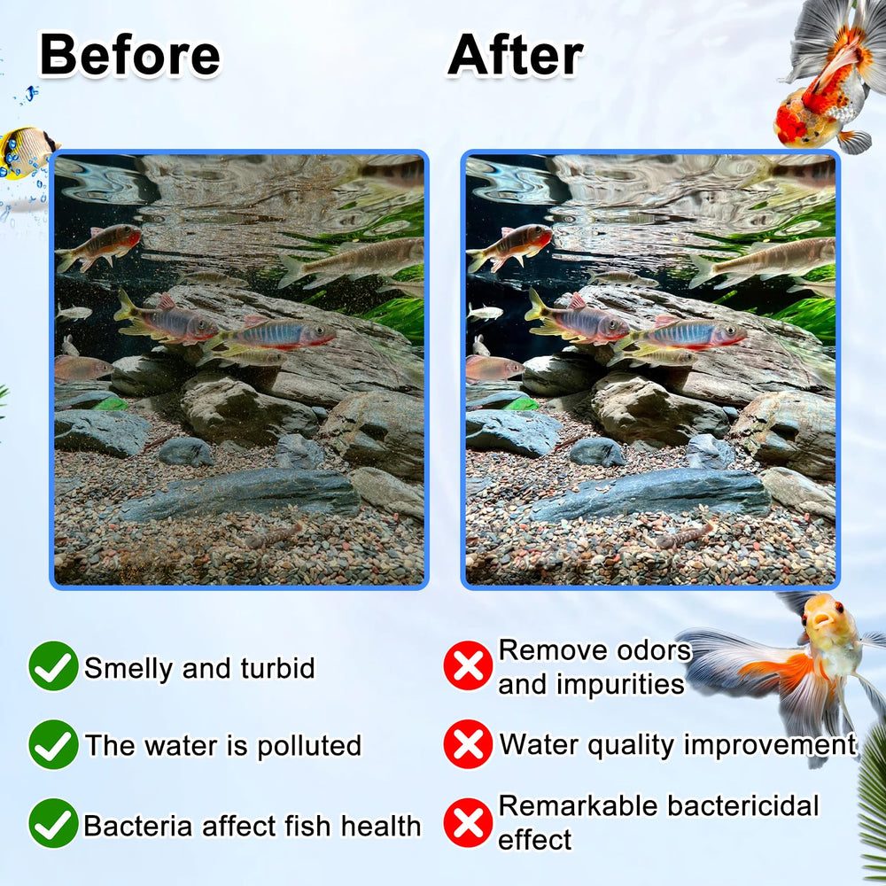 Switior maintenance tips support a healthy filtration schedule.