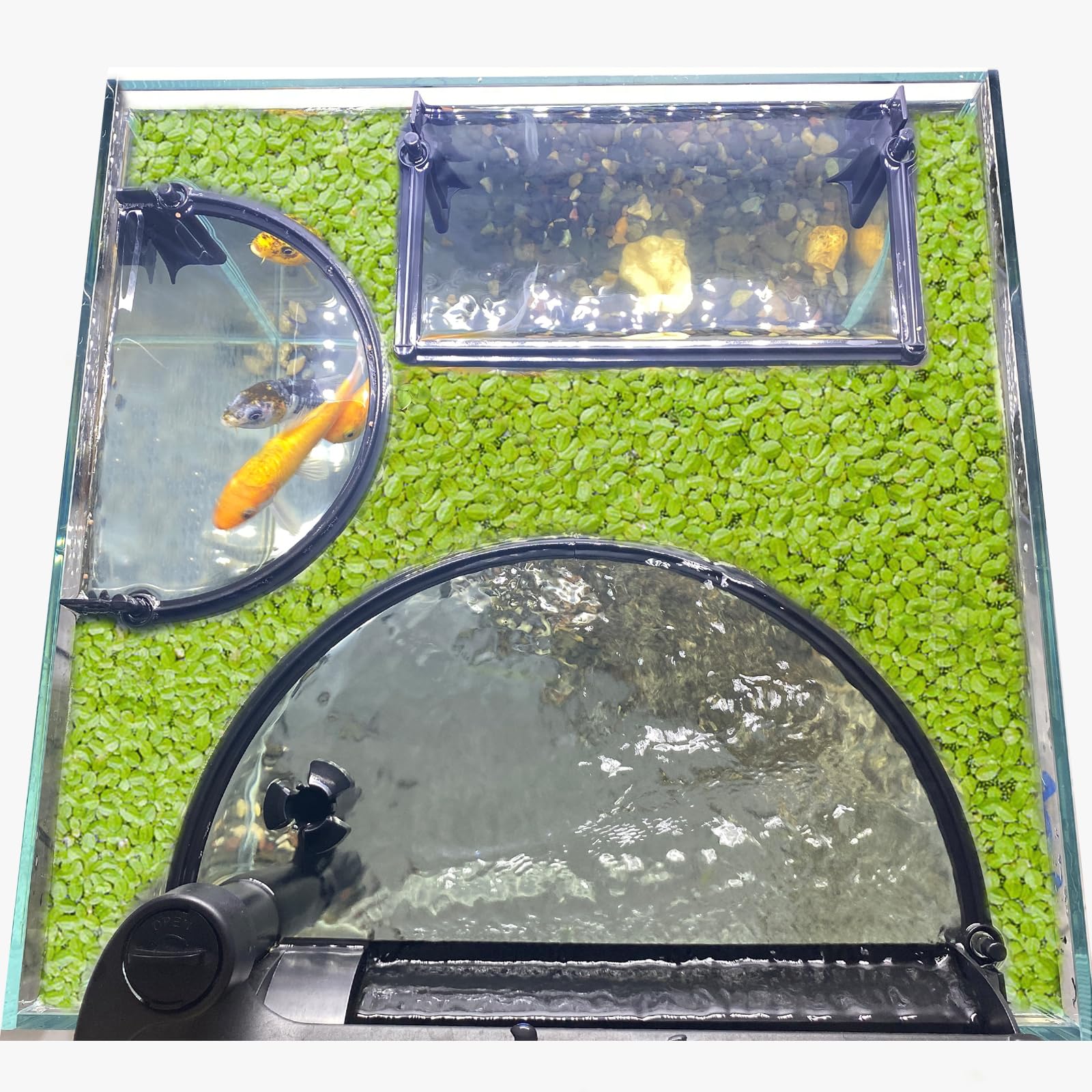 Switior floating plant corral installed in an aquarium, protecting plants from filtration flow.