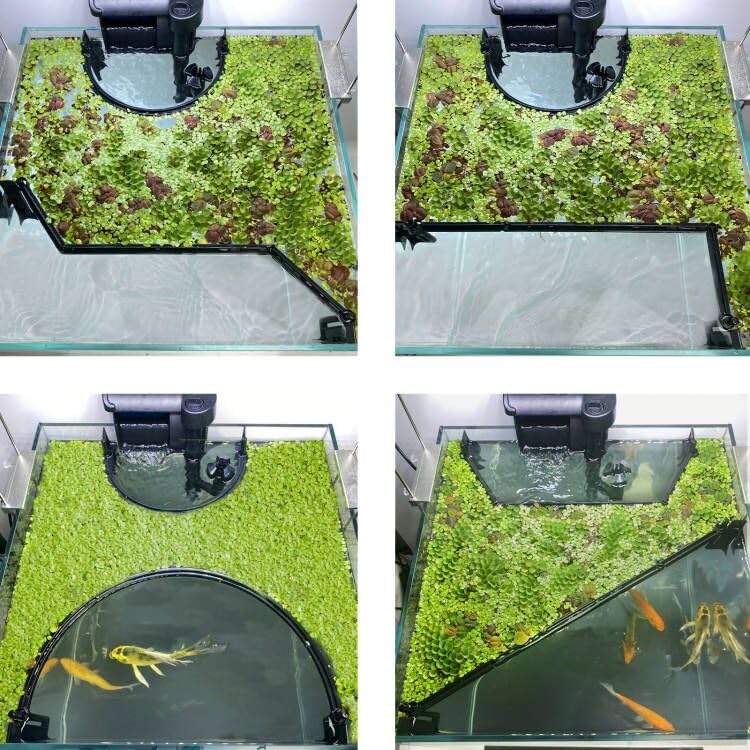 Switior corral arm rotates 180 degrees for flexible layout in the tank.