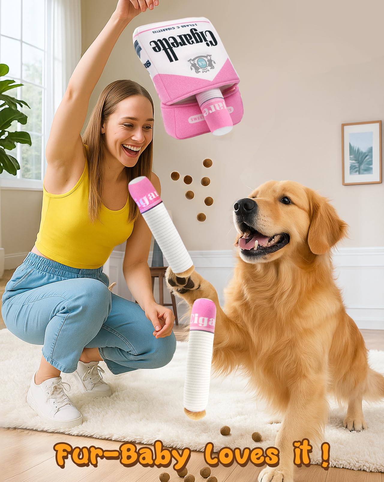 Swooflia designer funny plush dog toy squeaky pack 6 birthday gift idea for dogs.