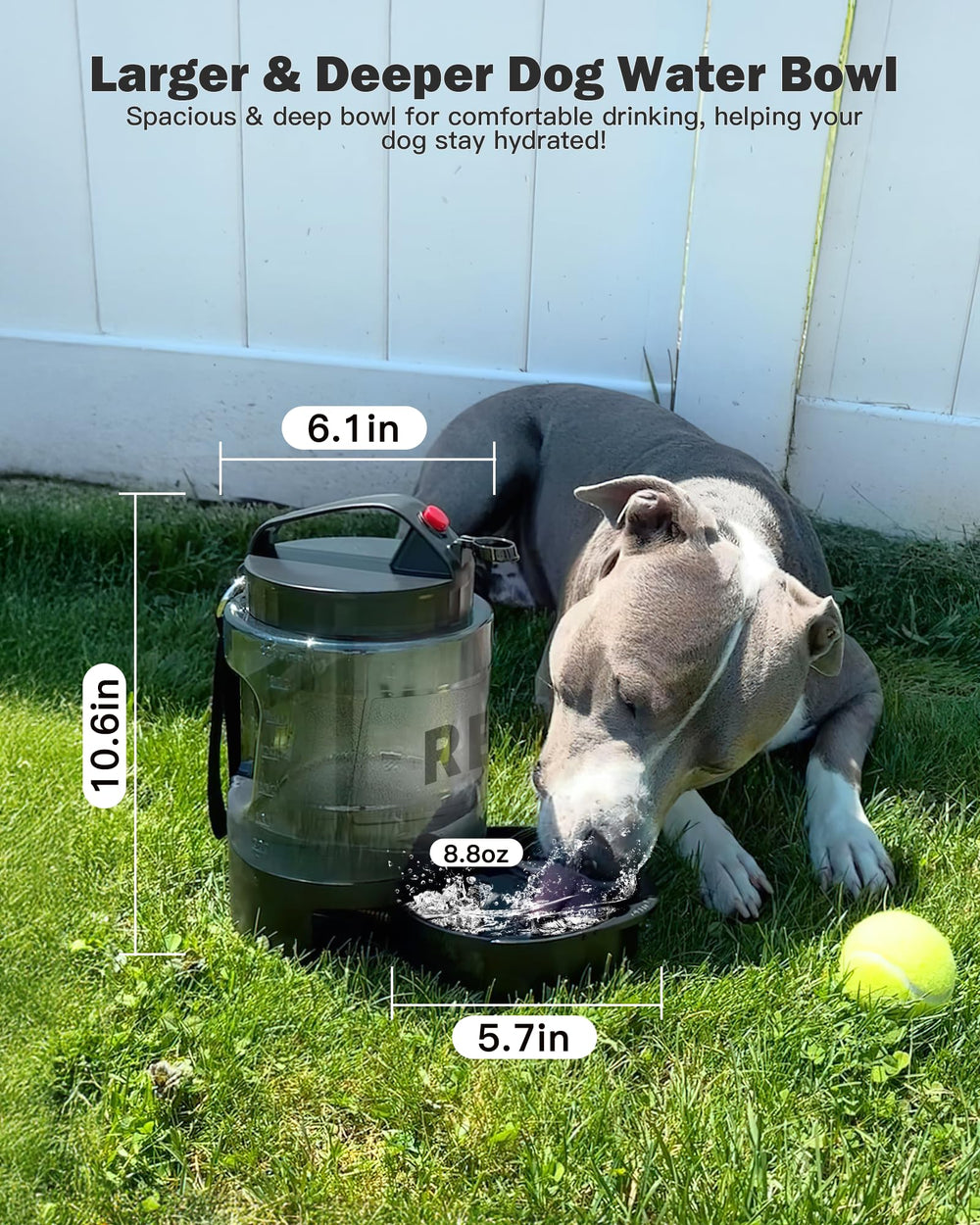 SwSun clear capacity markings help monitor your dog's water intake.