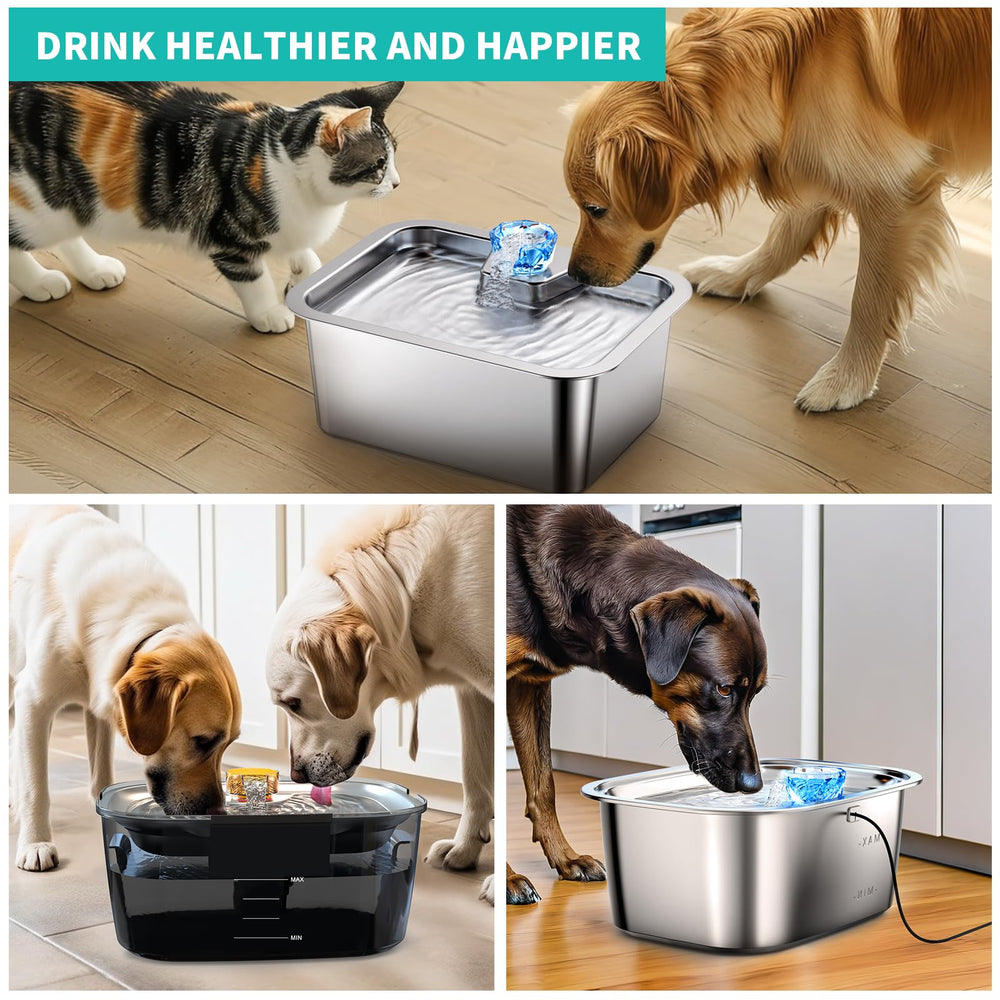 SwSun fresh water for pets promotes easy hydration throughout the day