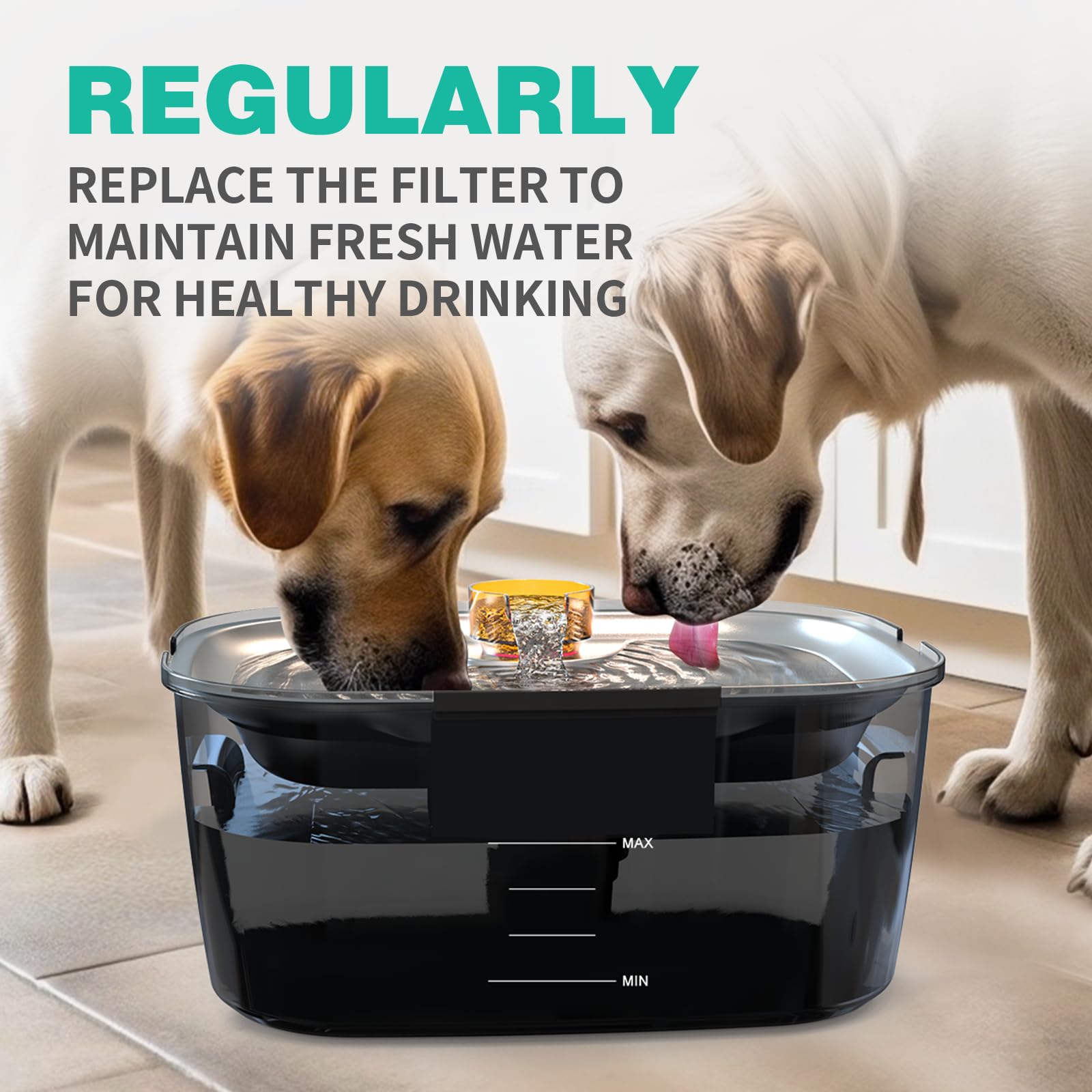 SwSun large dog fountain placed in home kitchen for daily use