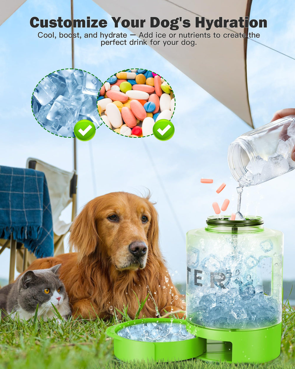 SWSun ideal for camping, hiking, and beach trips with dogs.