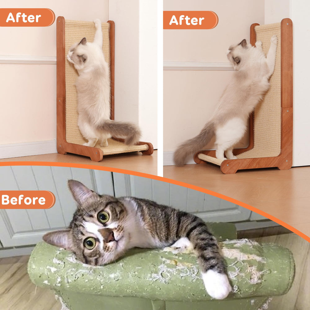 Sxtglxr sturdy-base scratcher ideal for kittens to adults and stress-relief play