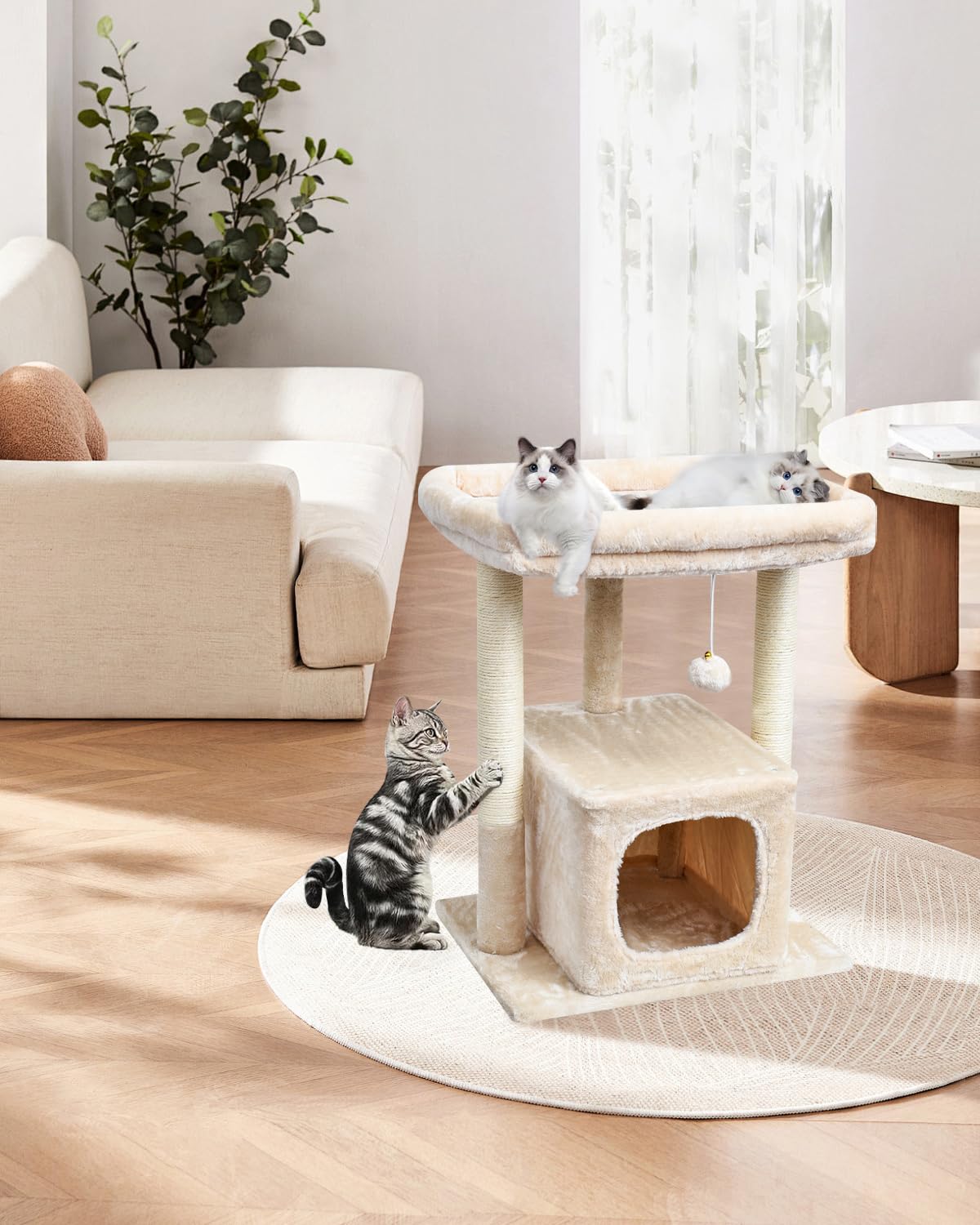 SYANDLVY beige color complements modern interiors while inviting cats to explore.