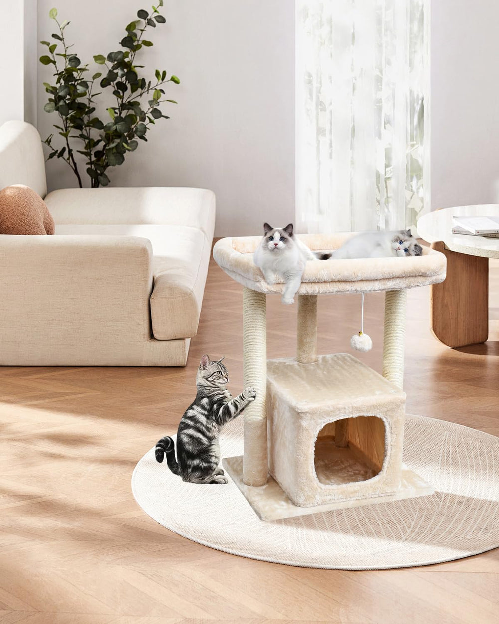SYANDLVY beige color complements modern interiors while inviting cats to explore.