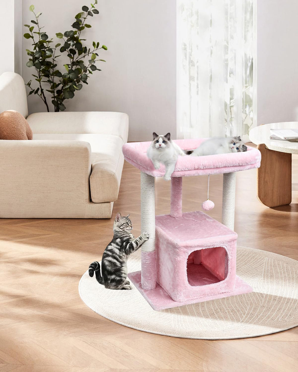 SYANDLVY reinforced posts support scratching and stretching sessions safely