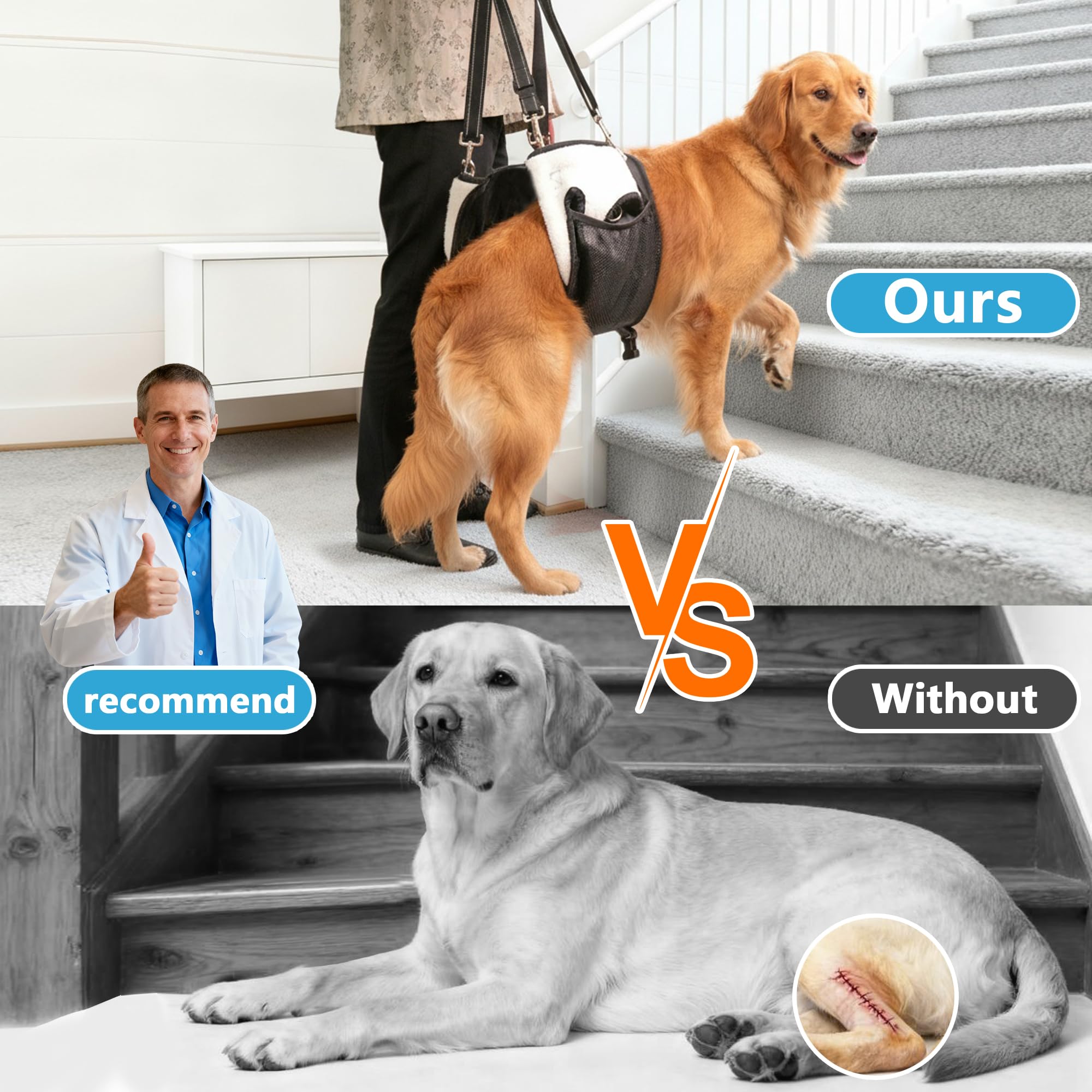 SyFatWeen dog lift sling with hip support for larger breeds