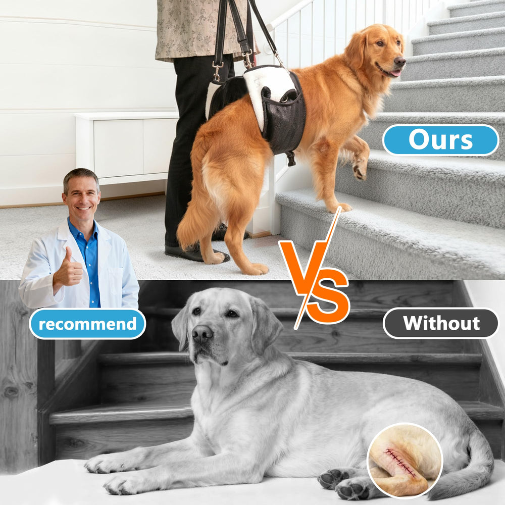 SyFatWeen dog lift sling with hip support for larger breeds