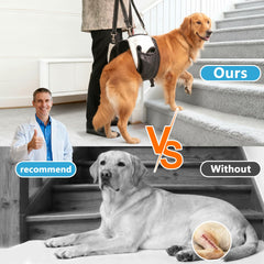SyFatWeen dog lift sling with hip support for larger breeds