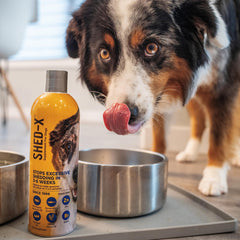 Shed-X liquid being poured for dogs encourages easy daily dosing