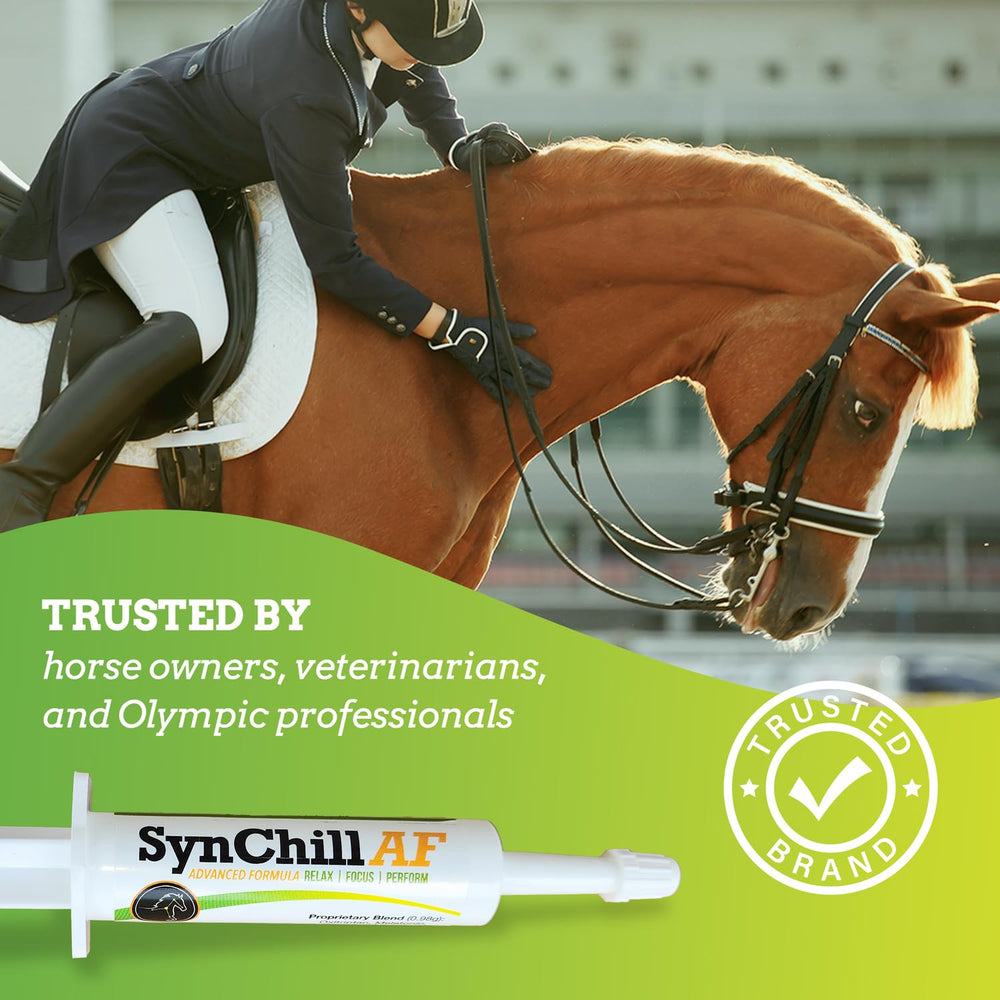 SynNutra Equine SynChill AF bottle with trainer during a calm-focused ride