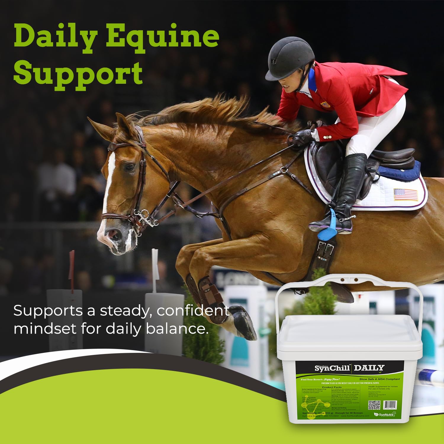 SynNutra SynChill Daily horse ready for training with confident demeanor.
